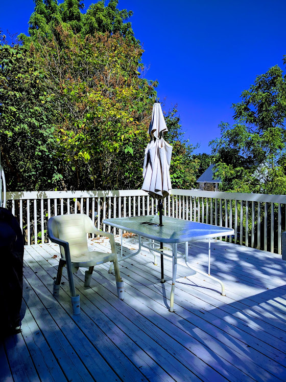 the backyard of my home